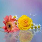 ヒメ日記 2025/12/11 18:35 投稿 三木 MadameRest(マダムレスト)