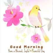 ヒメ日記 2025/12/12 08:27 投稿 三木 MadameRest(マダムレスト)