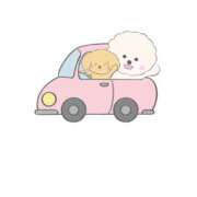 ヒメ日記 2025/12/13 13:24 投稿 三木 MadameRest(マダムレスト)