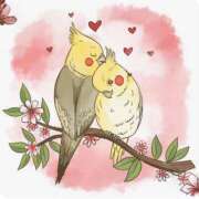 ヒメ日記 2025/12/16 23:34 投稿 三木 MadameRest(マダムレスト)