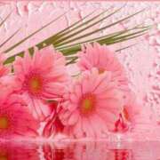 ヒメ日記 2026/01/04 08:38 投稿 三木 MadameRest(マダムレスト)