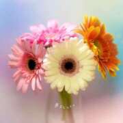 ヒメ日記 2026/01/05 11:49 投稿 三木 MadameRest(マダムレスト)