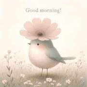 ヒメ日記 2026/01/26 10:43 投稿 三木 MadameRest(マダムレスト)