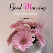 ヒメ日記 2026/02/12 08:07 投稿 三木 MadameRest(マダムレスト)