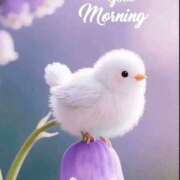 ヒメ日記 2026/02/16 11:03 投稿 三木 MadameRest(マダムレスト)