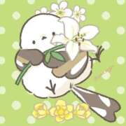 ヒメ日記 2026/02/18 15:40 投稿 三木 MadameRest(マダムレスト)