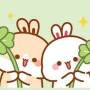 ヒメ日記 2026/02/20 10:56 投稿 三木 MadameRest(マダムレスト)