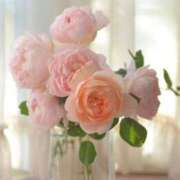 ヒメ日記 2026/02/24 12:18 投稿 三木 MadameRest(マダムレスト)