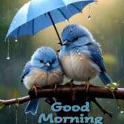 ヒメ日記 2026/02/25 10:05 投稿 三木 MadameRest(マダムレスト)