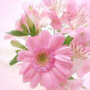 ヒメ日記 2026/02/26 10:41 投稿 三木 MadameRest(マダムレスト)