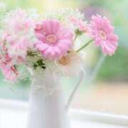 ヒメ日記 2026/02/27 16:23 投稿 三木 MadameRest(マダムレスト)