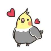 ヒメ日記 2026/03/03 16:07 投稿 三木 MadameRest(マダムレスト)