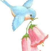 ヒメ日記 2026/03/07 15:27 投稿 三木 MadameRest(マダムレスト)