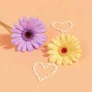 ヒメ日記 2026/03/09 09:42 投稿 三木 MadameRest(マダムレスト)