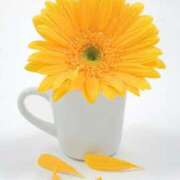 ヒメ日記 2026/03/10 15:25 投稿 三木 MadameRest(マダムレスト)