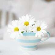 ヒメ日記 2026/03/11 10:20 投稿 三木 MadameRest(マダムレスト)