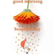 ヒメ日記 2026/03/12 10:34 投稿 三木 MadameRest(マダムレスト)