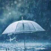 ヒメ日記 2026/03/25 15:31 投稿 三木 MadameRest(マダムレスト)