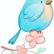 ヒメ日記 2026/03/27 09:49 投稿 三木 MadameRest(マダムレスト)