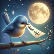 ヒメ日記 2026/03/27 22:53 投稿 三木 MadameRest(マダムレスト)