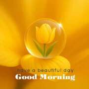 ヒメ日記 2026/03/28 09:44 投稿 三木 MadameRest(マダムレスト)