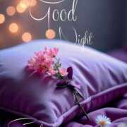 ヒメ日記 2026/03/29 01:02 投稿 三木 MadameRest(マダムレスト)