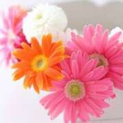 ヒメ日記 2026/03/29 12:06 投稿 三木 MadameRest(マダムレスト)