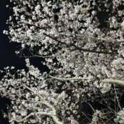 ヒメ日記 2025/04/04 21:16 投稿 あみり 池袋ぱんぷきん（シンデレラグループ）