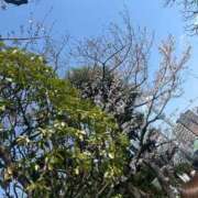 ヒメ日記 2025/03/30 23:11 投稿 かんな 東京メンズボディクリニック TMBC 上野店