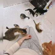 ヒメ日記 2025/04/20 21:10 投稿 かんな 東京メンズボディクリニック TMBC 上野店