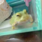 ヒメ日記 2025/09/16 05:08 投稿 かんな 東京メンズボディクリニック TMBC 上野店