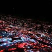 ヒメ日記 2025/03/20 10:20 投稿 まいか ごほうびSPA五反田店