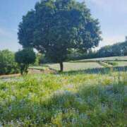 ヒメ日記 2025/07/01 12:50 投稿 まいか ごほうびSPA五反田店