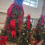 ヒメ日記 2025/12/07 20:50 投稿 まいか ごほうびSPA五反田店