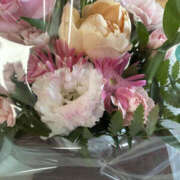 ひなみ １４日のT様へ 奥鉄オクテツ奈良