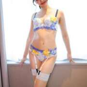 ヒメ日記 2025/11/14 20:00 投稿 りん スチュワーデス