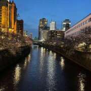 ヒメ日記 2025/04/05 23:59 投稿 佐伯みどり OtoLABO～前立腺マッサージ（ドライオーガズム）専門店～