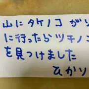 ヒメ日記 2025/04/20 12:44 投稿 みらい 桜フェアリーテイル