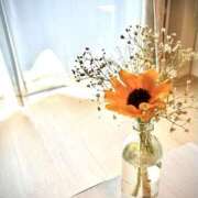 ヒメ日記 2025/07/02 18:38 投稿 みらい 桜フェアリーテイル