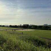 ヒメ日記 2025/07/06 07:28 投稿 みらい 桜フェアリーテイル