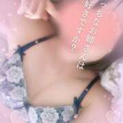 ヒメ日記 2025/08/02 09:57 投稿 みらい 桜フェアリーテイル