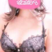 ヒメ日記 2026/02/24 07:42 投稿 みらい 桜フェアリーテイル