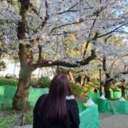 ヒメ日記 2025/04/05 13:30 投稿 なほ★ わがままスタイル