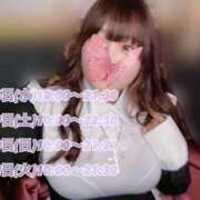 ヒメ日記 2025/04/16 08:31 投稿 なほ★ わがままスタイル