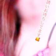 ヒメ日記 2025/03/20 21:44 投稿 なる 八尾藤井寺羽曳野ちゃんこ