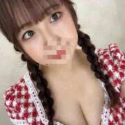 ヒメ日記 2025/09/26 14:35 投稿 月白こゆき コウテイ