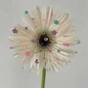 ヒメ日記 2026/02/03 07:37 投稿 ひとみ ViVi-ヴィヴィ-(金津園)