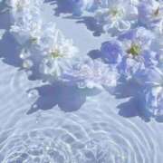 ヒメ日記 2026/05/26 20:10 投稿 ひとみ ViVi-ヴィヴィ-(金津園)