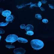 ヒメ日記 2025/06/25 12:06 投稿 ねむ 僕のぽっちゃり伝説