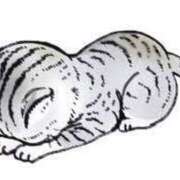 ねむ 向かってます！ 僕のぽっちゃり伝説